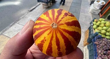 Elazığ'da kokulu süs kavunu tezgahlarda