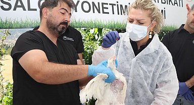 Elazığ'da kuş gribi eğitimi