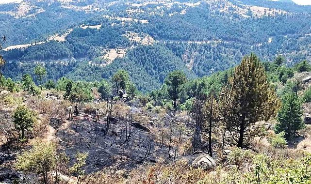 Emet'te çıkan orman yangınında 2 hektar alan zarar gördü