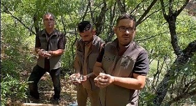 Endemik dağ sarımsağını söken 3 kişiye, 2 milyon lira ceza