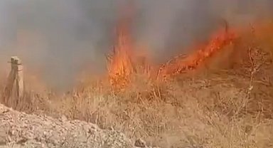 Ereğli'de çıkan iki ayrı yangın paniğe neden oldu