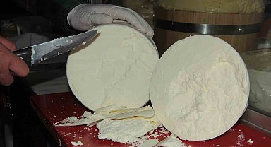 Erzincan Tulum Peyniri toz forma taşınıyor