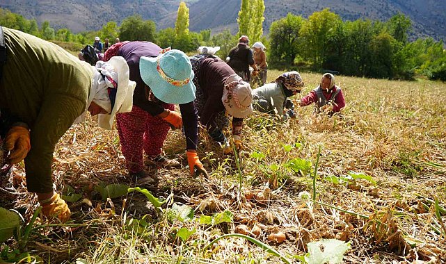 Erzincan'a 169,6 milyon liralık tarımsal hibe desteği
