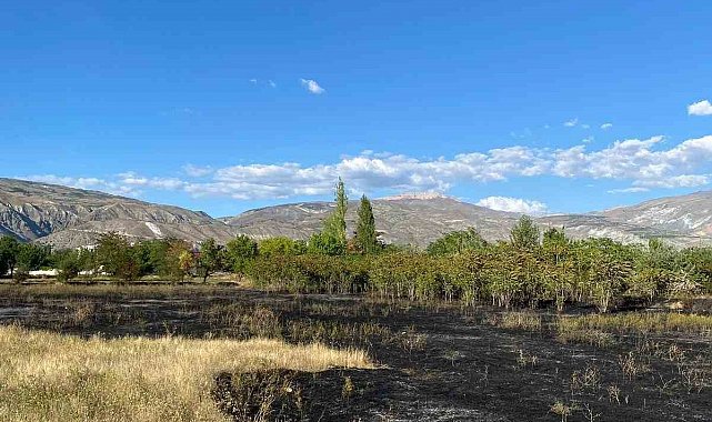 Erzincan'da anız yangını büyümeden söndürüldü