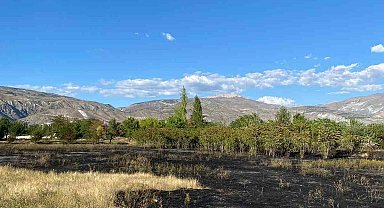 Erzincan'da anız yangını büyümeden söndürüldü