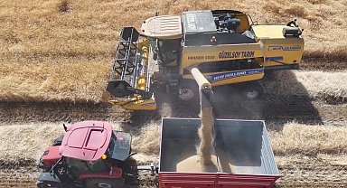 Erzincan'da baraj ve sulama suları tarlaları bereketle buluşturuyor