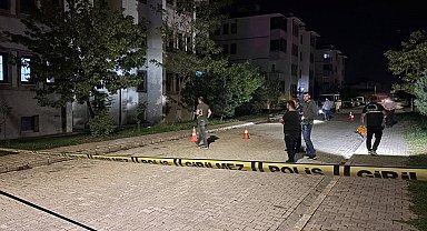 Erzincan'da bir eve silahla ateş edildi