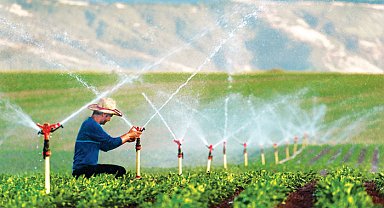 Erzincan'da tarıma 169,6 milyon liralık hibe desteği