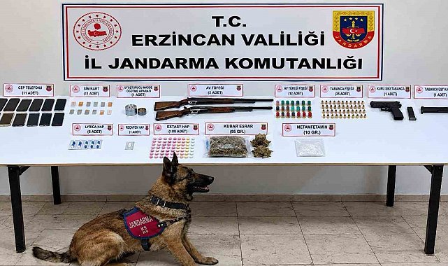 Erzincan'da uyuşturucu operasyonunda 10 şüpheli gözaltına alındı