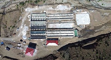 Erzincan'dan 18 ülkeye somon yolculuğu