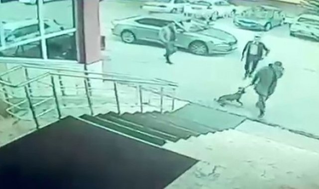 Erzurum Palandöken Kaymakamı ve korumasına soruşturma açıldı