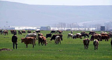Erzurum'da kırsal kalkınmaya dev destek: 329 Projeye 171 Milyon TL hibe