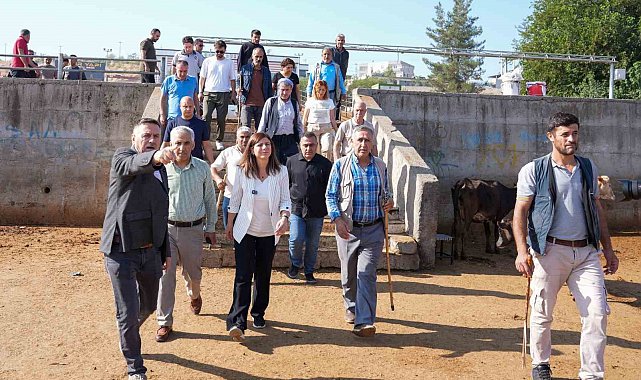 Eşbaşkan Bucak, hayvan borsasında incelemelerde bulundu