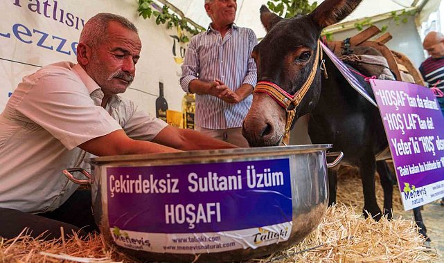 Eşek hoşafa direndi, ortaya renkli görüntüler çıktı