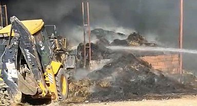 Eskişehir'de çiftlikte çıkan yangında 25 küçükbaş hayvan telef oldu