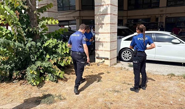 Esnafın beslediği kedi bacakları kesilmiş halde bulundu