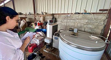 Evciler'de hayvancılık işletmelerine yönelik denetim