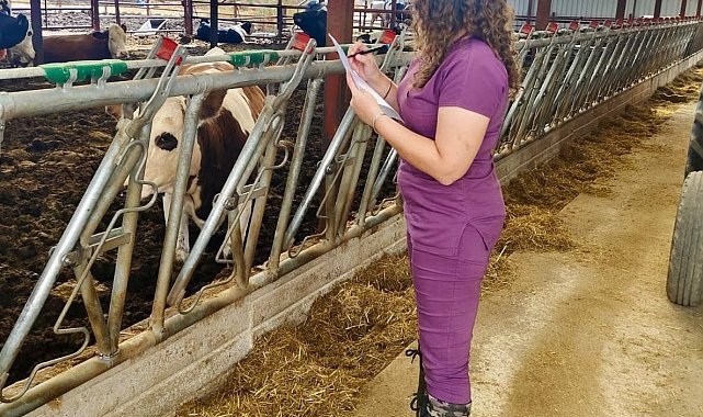 Evciler'de hayvancılık işletmelerine yönelik kapasite incelemesi