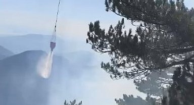 Fethiye'de orman yangını