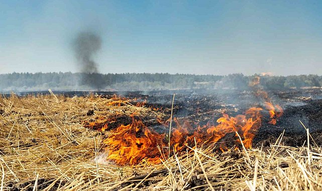 Fırat EDAŞ'tan anız yakma uyarısı