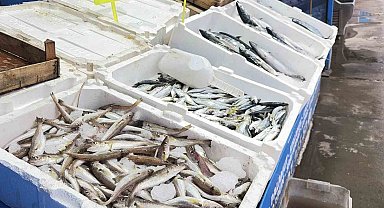 Fırtına balık tezgahlarını hareketlendirdi: Karaburun'da palamut bolluğu