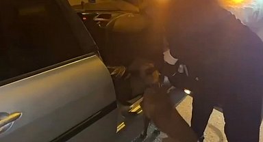 Gaziantep'te 2 araçta uyuşturucu hammaddesi ele geçirildi