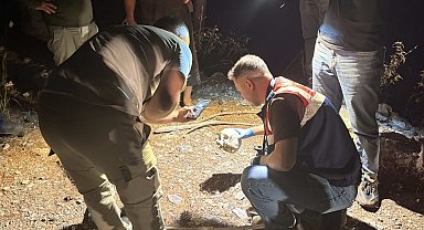 Gazipaşa'da ormanlık alanda kafatası bulundu