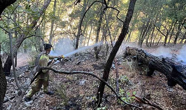 Gece başlayan yangın sabah saatlerinde kontrol altına alındı