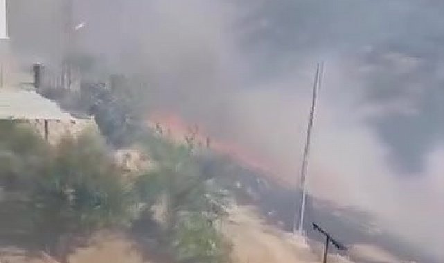 Gercüş'te yangın: Ağaçlar ve bağlar zarar gördü