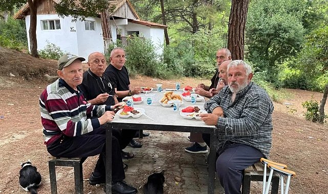 Gerze'de huzurevi sakinleri doğada moral depoladı