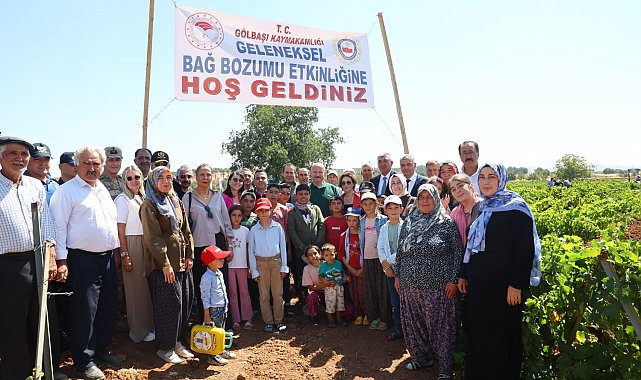 Gölbaşı'nda bağ bozumu heyecanı başladı