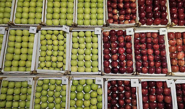 Gölcük'te en lezzetli elma ve armutlar vitrine çıktı