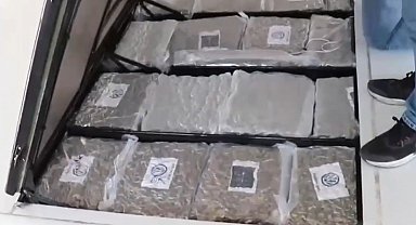 Gümrük Muhafaza ekiplerinden uyuşturucu kaçakçılığına darbe: 387 kilo skunk ele geçirildi