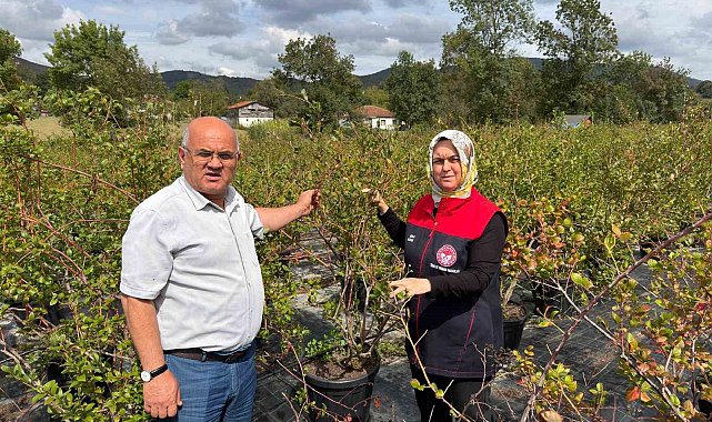 Gümüşova'da Yaban Mersini ve Aronya üretimi için yeni adım