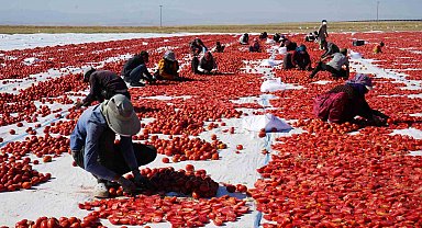 Güneş ve poyrazla kurutulan Niğde domatesi dünya sofralarına ulaşıyor