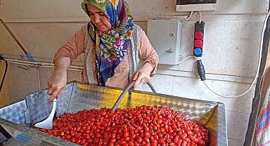 Günler süren işlem dakikalara indi: Kuşburnu marmeladı zamanı