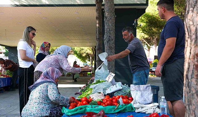 Hacıömerli'de salı pazarı bereketi