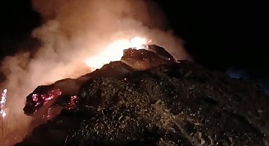 Hakkari'de 5 bin ot balyası kül oldu