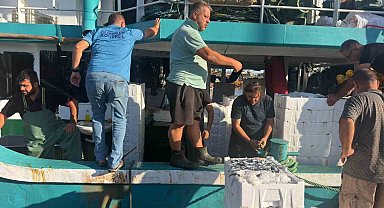 Hamsi avında kota dönemi başladı, denetimler sürüyor