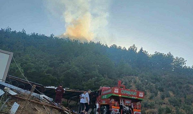 Hassa'da ormanlık alan yangını kontrol altına alındı