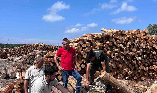 Hatay Orman Bölge Müdürü Günay, İskenderun Sahil Orman Deposu'nda incelemelerde bulundu