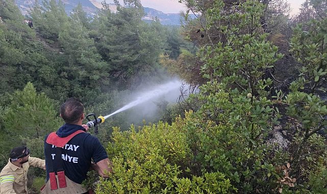Hatay'da orman yangını çıktı