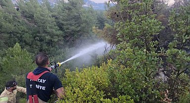Hatay'da orman yangını çıktı
