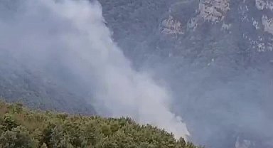 Hatay'da orman yangını: Ekiplerin müdahalesi başladı