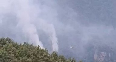 Hatay'daki orman yangını kontrol altına alındı