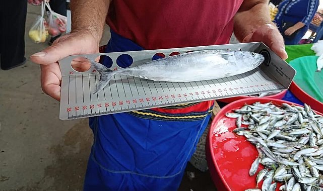 Hayrabolu'da balık tezgahlarında denetim