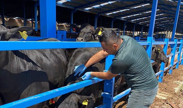 Hayvan sağlığı için işletmeler tek tek geziliyor