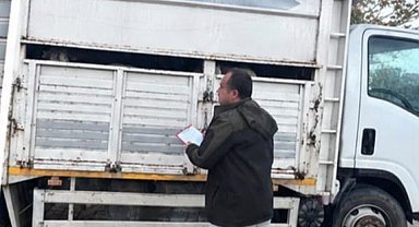 Hayvanları belgesiz sevk edenlere yasal işlem uygulandı