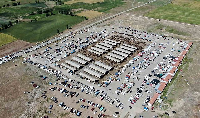 İç Anadolu Bölgesi'nin en büyük hayvan pazarı geçici olarak kapatıldı