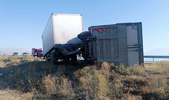 Iğdır'da eşeğe çarpmamak için manevra yapan kamyon kaza yaptı